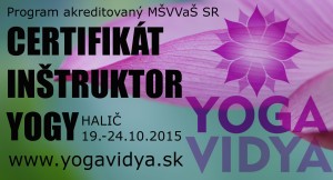 plagat kurz oktober halic yogavidya